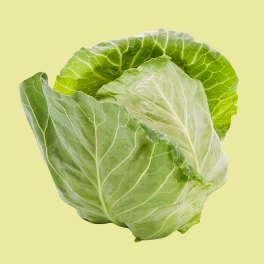 Vitamin X