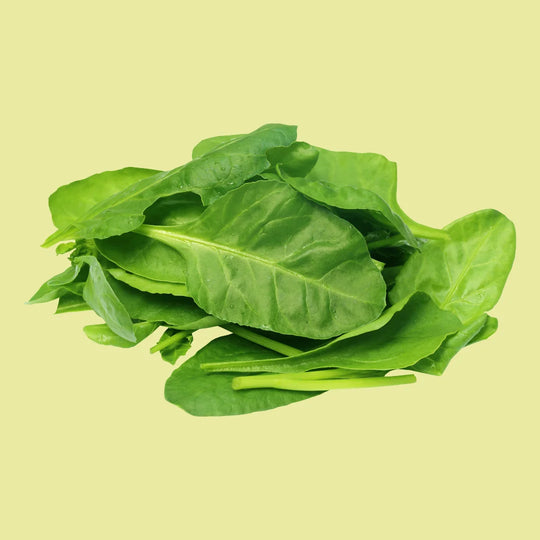 Magnesium